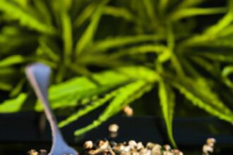 Hemp Seeds Uncovered: Nature’s Tiny Nutritional Powerhouses