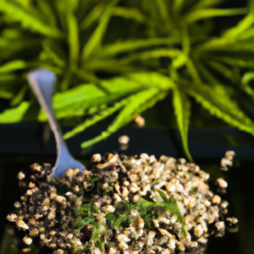 Hemp Seeds Uncovered: Nature’s Tiny Nutritional Powerhouses